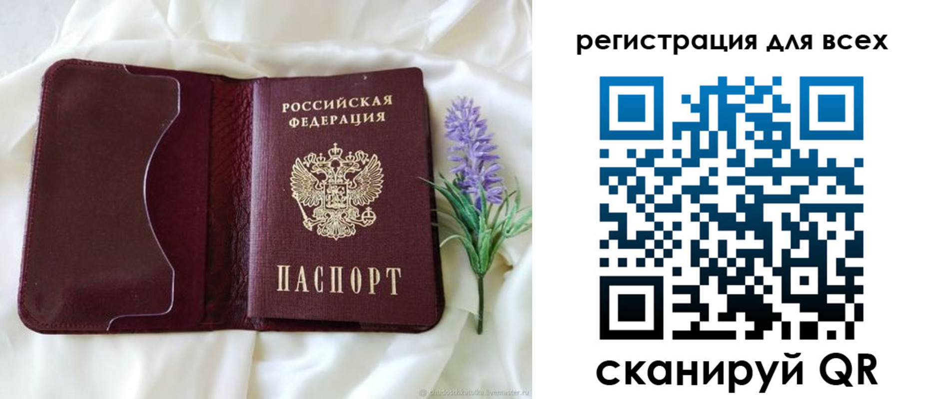 прописка 2025 в Владимире
